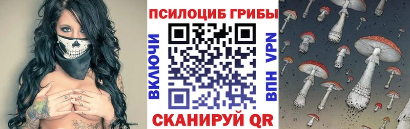 Псилоцибиновые грибы прущие грибы цены Сасово