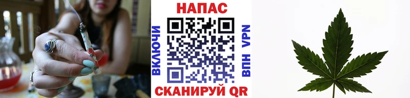 Каннабис ГИДРОПОН  Сасово 